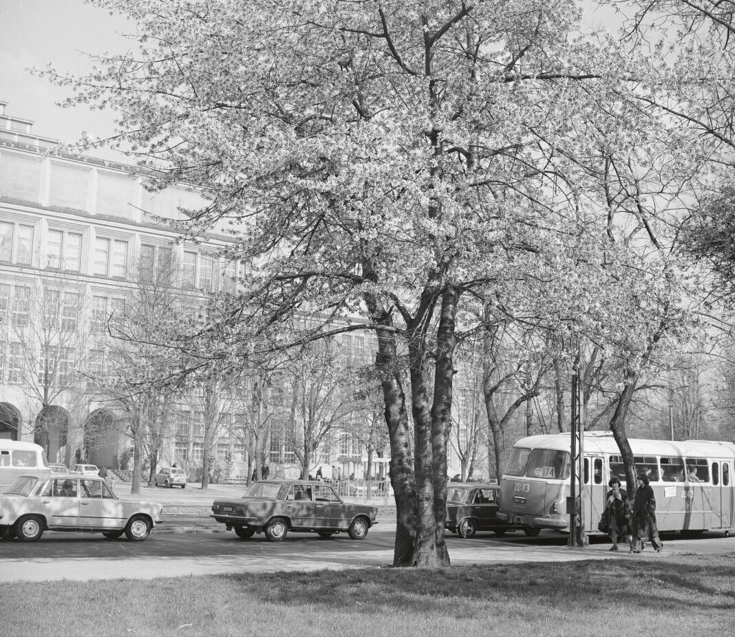 3_40_0_14_28_133489 kopia