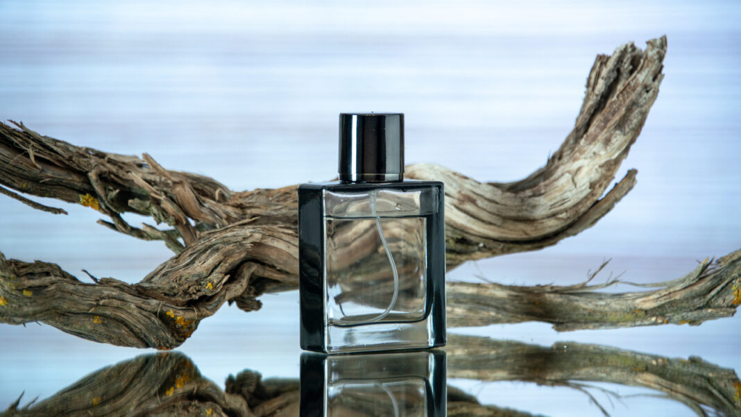 front view rectangular cologne bottle branch rotten wood on ligh